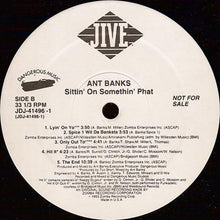 Load image into Gallery viewer, Ant Banks : Sittin&#39; On Somethin&#39; Phat (LP, Album, Promo)