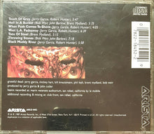 Load image into Gallery viewer, Grateful Dead* : In The Dark (CD, Album)