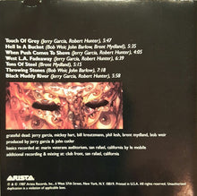 Load image into Gallery viewer, Grateful Dead* : In The Dark (CD, Album)