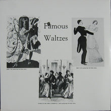 Load image into Gallery viewer, Orchestra Of The Vienna Volksoper* : Famous Waltzes, Invitation to the Dance, Gold and Silver, and Eleven Others (2xLP, Album, Gat)