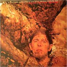 Load image into Gallery viewer, John Mayall : Back To The Roots (2xLP, Album, Hol)