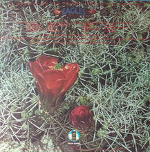 Load image into Gallery viewer, Eagles : Eagles (LP, Album, RI )