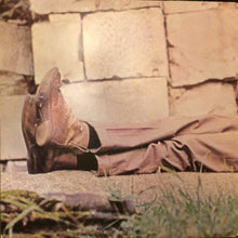 Load image into Gallery viewer, James Taylor (2) : James Taylor (LP, Album, Scr)