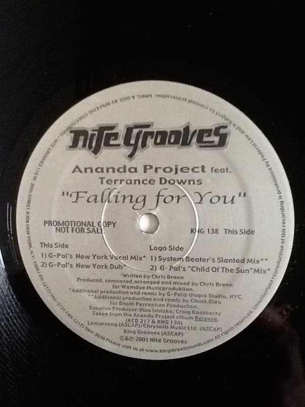 Ananda Project* Featuring Terrance Downs : Falling For You (12