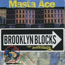 Load image into Gallery viewer, Masta Ace : Brooklyn Blocks / Last Bref (12&quot;)