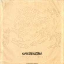 Load image into Gallery viewer, Dixie Dregs : Free Fall (LP, Album, Ter)