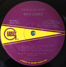 Load image into Gallery viewer, Rick James : Garden Of Love (LP, Album)