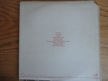 Load image into Gallery viewer, Don McLean : Don McLean (LP)