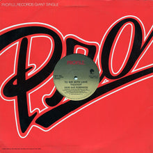 Load image into Gallery viewer, Vicki Sue Robinson : To Sir With Love (12&quot;, Single)