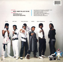Load image into Gallery viewer, Full Force : Alice, I Want You Just For Me (12&quot;)