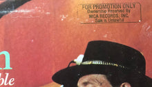 Load image into Gallery viewer, Willie Nelson : Family Bible (LP, Glo)