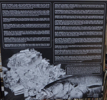 Load image into Gallery viewer, Ghostface Killah : More Fish (2xLP, Album)