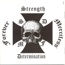 Load image into Gallery viewer, Black Label Society : The Blessed Hellride (CD, Album)