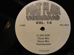 Various : Phat Flava Underground Vol. 14 (12")