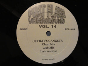 Various : Phat Flava Underground Vol. 14 (12")