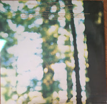 Load image into Gallery viewer, America (2) : Homecoming (LP, Album, Ter)