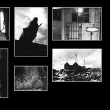 Load image into Gallery viewer, Pink Floyd : Animals (LP, Album, RE, Car)