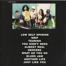 Load image into Gallery viewer, Rollins Band : The End Of Silence (CD, Album)