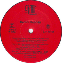 Load image into Gallery viewer, Danny Madden : The Facts Of Life (12&quot;)