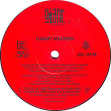 Load image into Gallery viewer, Danny Madden : The Facts Of Life (12&quot;)