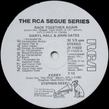 Load image into Gallery viewer, Daryl Hall &amp; John Oates / Stephen Dees : Back Together Again / Kerry (12&quot;, Mono, Promo)