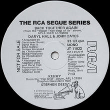 Load image into Gallery viewer, Daryl Hall &amp; John Oates / Stephen Dees : Back Together Again / Kerry (12&quot;, Mono, Promo)