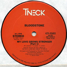 Load image into Gallery viewer, Bloodstone : My Love Grows Stronger (12&quot;)