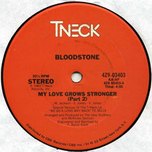 Load image into Gallery viewer, Bloodstone : My Love Grows Stronger (12&quot;)