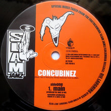 Load image into Gallery viewer, Hyenas In The Desert : Concubinez (12&quot;)
