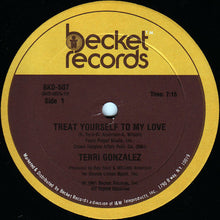 Load image into Gallery viewer, Terri Gonzalez : Treat Yourself To My Love (12&quot;, Single)