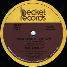 Load image into Gallery viewer, Terri Gonzalez : Treat Yourself To My Love (12&quot;, Single)