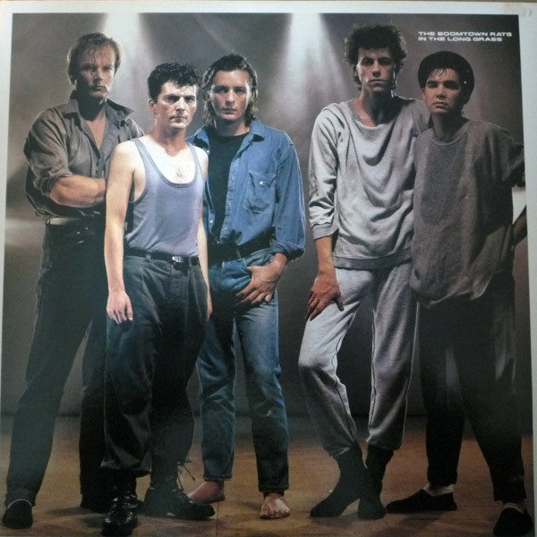 The Boomtown Rats : In The Long Grass (LP, Album, Pit)