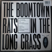 Load image into Gallery viewer, The Boomtown Rats : In The Long Grass (LP, Album, Pit)