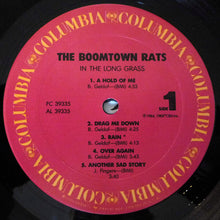 Load image into Gallery viewer, The Boomtown Rats : In The Long Grass (LP, Album, Pit)