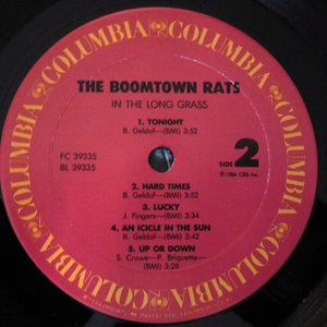 The Boomtown Rats : In The Long Grass (LP, Album, Pit)