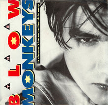 Load image into Gallery viewer, The Blow Monkeys : It Doesn't Have To Be This Way (7", Promo)