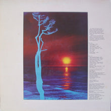 Load image into Gallery viewer, Lani Hall : Sun Down Lady (LP, Album, RE)