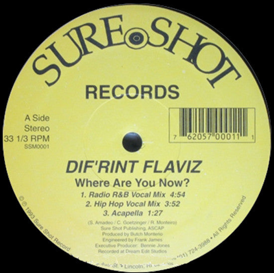 Dif'rint Flaviz : Where Are You Now (12