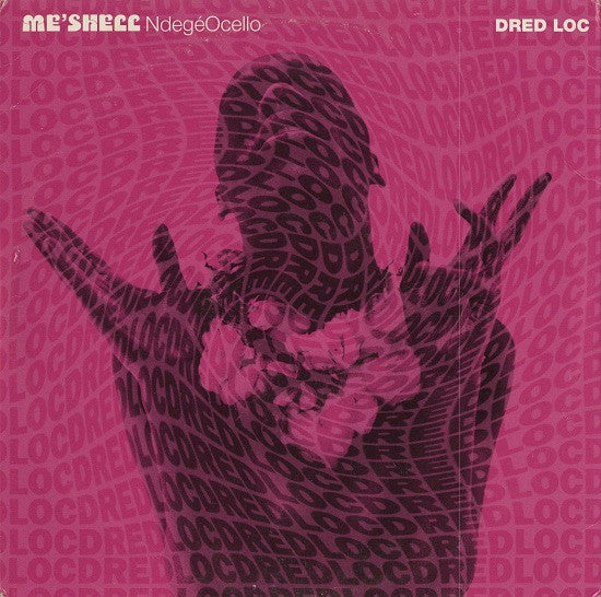 Me'Shell NdegéOcello : Dred Loc (12