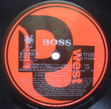 Load image into Gallery viewer, Boss (3) : Progress Of Elimination (12&quot;)