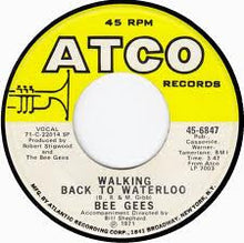 Load image into Gallery viewer, Bee Gees : Don't Wanna Live Inside Myself (7", Single, SP )