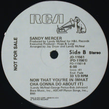 Load image into Gallery viewer, Sandy Mercer : Work Your Body (Work That Body) (12&quot;, Promo)