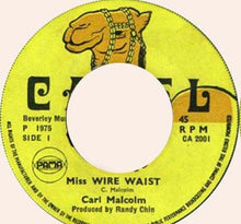 Load image into Gallery viewer, Carl Malcolm / Skin, Flesh &amp; Bones : Miss Wire Waist / Wire Dub (7")