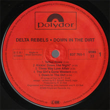Load image into Gallery viewer, Delta Rebels : Down In The Dirt (LP, Album)