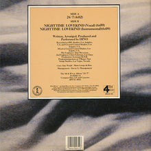 Load image into Gallery viewer, Dino (2) : 24/7 (12&quot;)