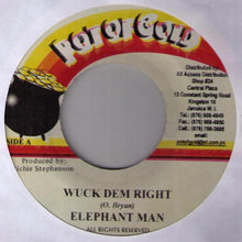 Load image into Gallery viewer, Elephant Man / Copper Cat : Wuck Dem Right / Neva Stray (7")
