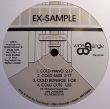Load image into Gallery viewer, Ex-Sample : This House Is Cold (12&quot;)