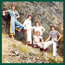 Load image into Gallery viewer, Bay City Rollers : The Definitive Collection (CD, Comp)