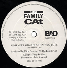 Load image into Gallery viewer, The Family Cat : Remember What It Is That You Love (12&quot;, Single)