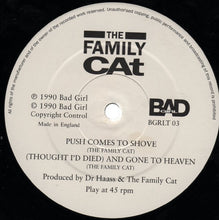 Load image into Gallery viewer, The Family Cat : Remember What It Is That You Love (12&quot;, Single)